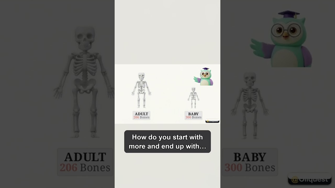 🦴 Your Bones & Skeleton 🚀 #Shorts