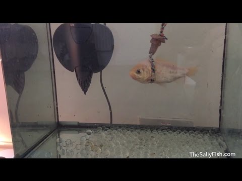 youtube image