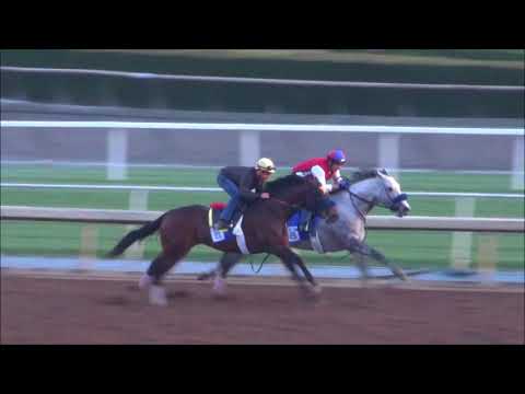 Facts Matter (outside horse) 3/31/18 Santa Anita