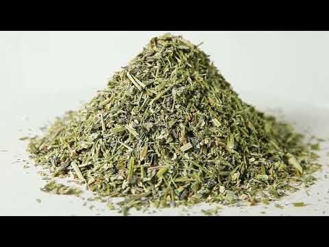 Фиалка трехцветная