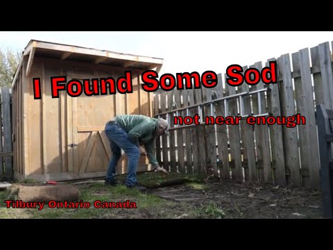 The SOD Problem how to find how to lay it, (not really)