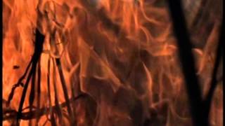 HANGGANG - ZSA ZSA PADILLA