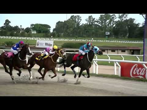 220211 c05 - WOOLITE  - HIPODROMO LAS PIEDRAS