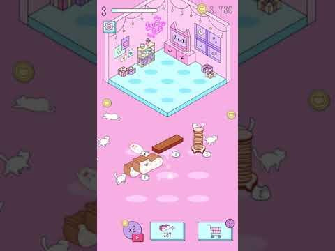 Purrfect Cats Video