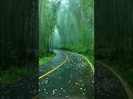 Barish Wala Video Status