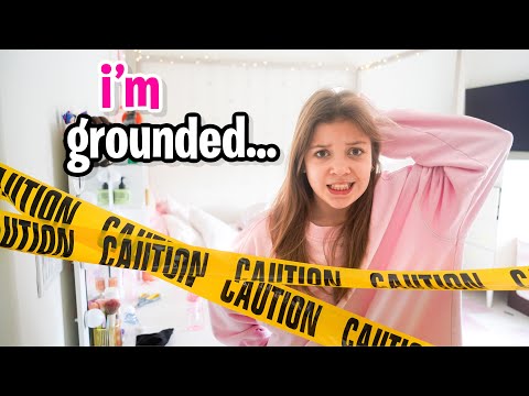 The Stella Show and 2 more