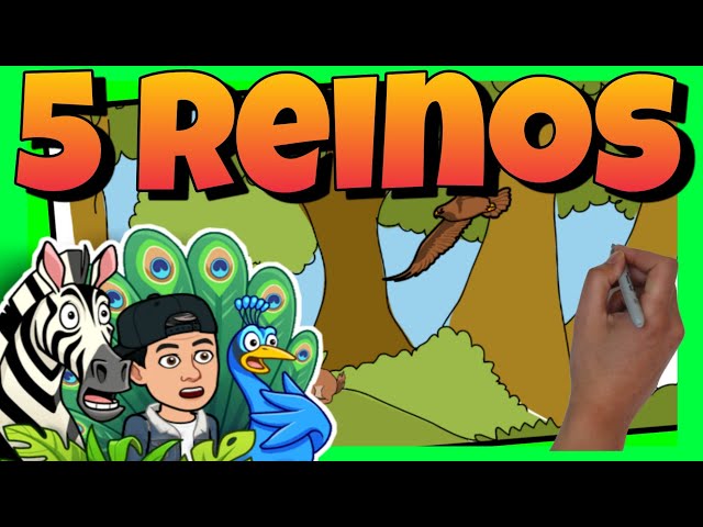 Vídeo relacionado con Ciencias de la naturaleza. 5 Primaria. Revuela. Castilla y León