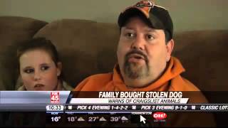 Family Reacts to Buying Stolen Dog on Craigslist