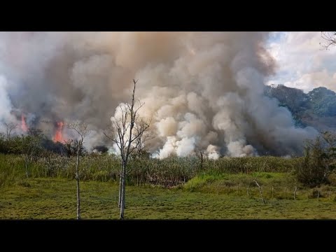FOGO EM BREJÃO -PE DESTRÓI LINDA VEGETAÇÃO 02/12/2025