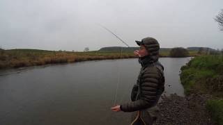 Grayling Fishing and hooking a salmon