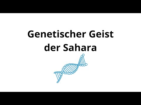Genetischer Geist der Sahara | mtDNA-Haplogruppe N