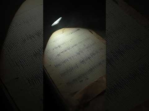 O caso oculto do Sanatório de Juquery.