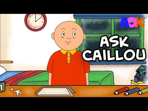 CAILLOU THE GROWNUP AMA