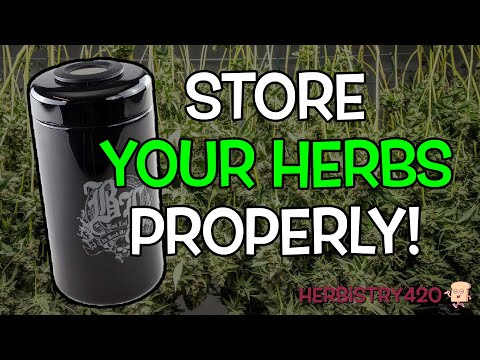 Black Leaf Violet Glass Jar Review: 5 Reasons It Keeps Herbs Fresh