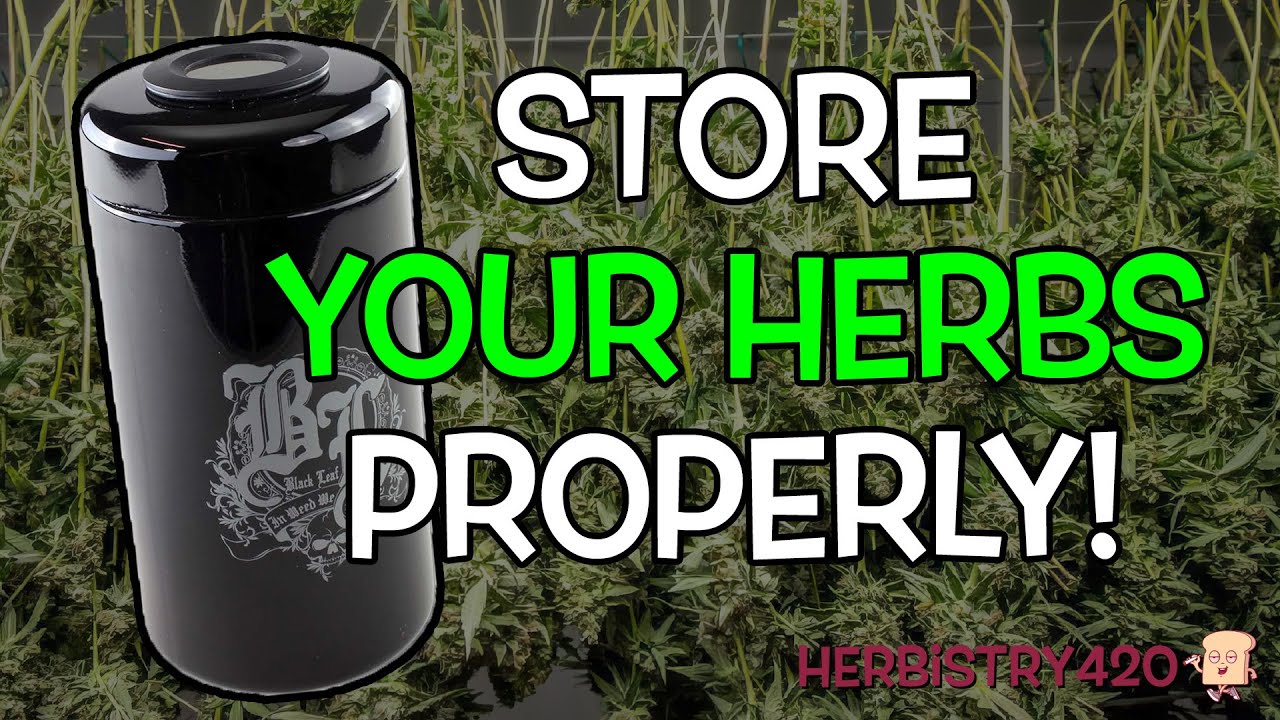 Black Leaf Violet Glass Jar Review: 5 Reasons It Keeps Herbs Fresh