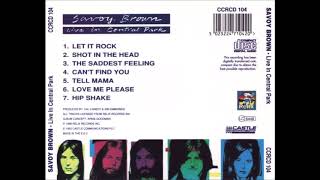 Savoy Brown - Live In Central Park &quot; 1972&quot;