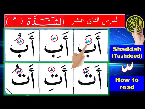 How to read Shaddah in Arabic | Noorani Qaida lesson 12  Shadda |  Learn Arabic for beginners