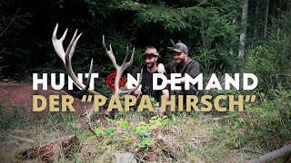 Feisthirschjagd in der Eifel 🌋🦌 Der &quot;Papa Hirsch&quot; von @Huntingroom