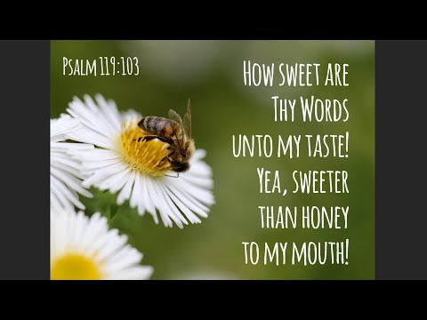 Psalm 119:97-104 Song (MEM)