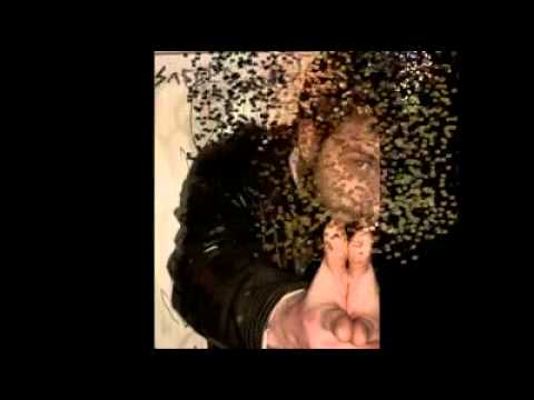 Safder Seskes Yaris Baskadir.mp4