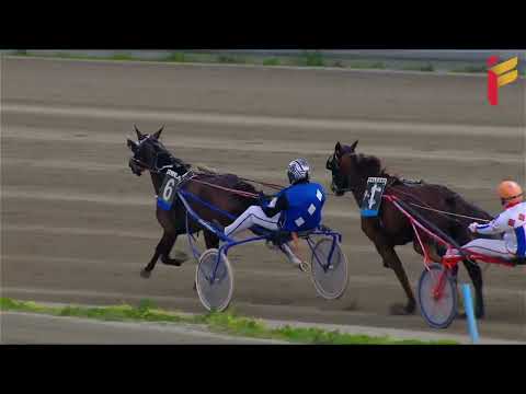 IV Corsa del 16 Marzo 2022 - 4 Anni - Metri 1600