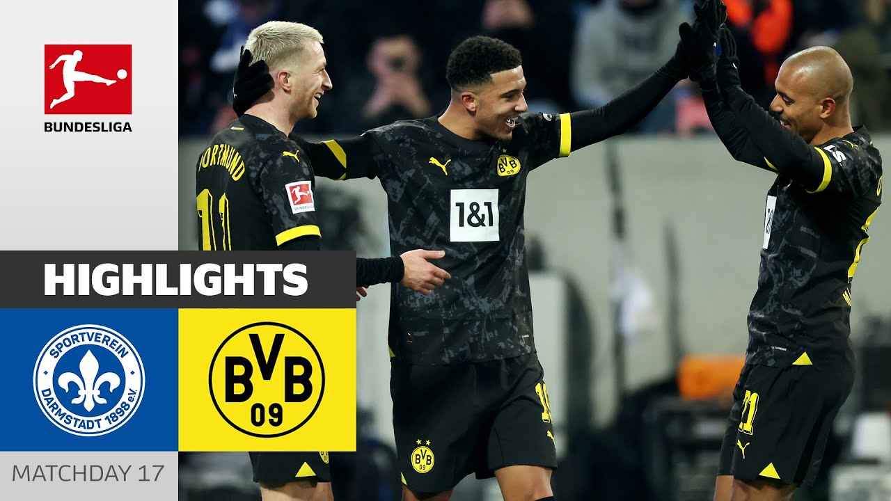 Darmstadt 98 vs Borussia Dortmund highlights