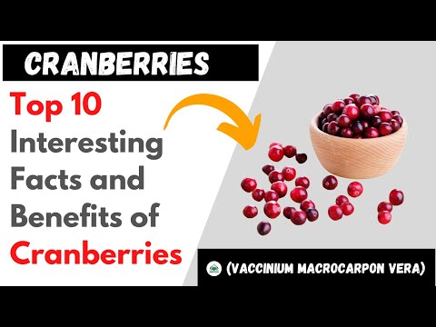 ◼Top 10 Interesting Facts and Benefits of Cranberries👈(Scientific Name: Vaccinium macrocarpon)🍒