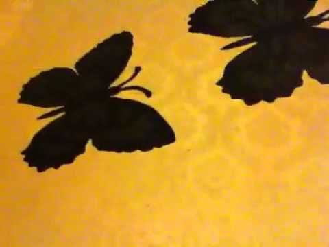 Laughing at butterfly farts