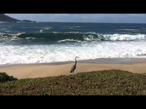 Serenity amid Turmoil