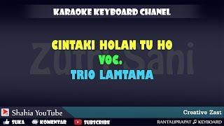 Download lagu CINTAKI HOLAN TU HO TRIO LAMTAMA mp3