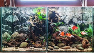 #369 Membuat Aquarium/Aquascape Goldfish dengan background 3D
