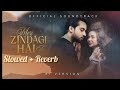 Meri Zindagi Hai Tu OST Asim Azhar Lofi Slowed Reverb Viral Lofi 2025