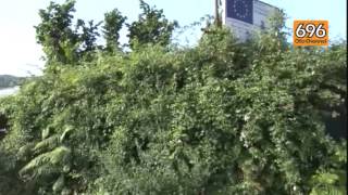 centro-per-l-autismo-ripartono-i-lavori