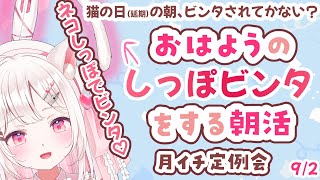 【☀朝雑談】ビンタビンタ！猫の日の朝