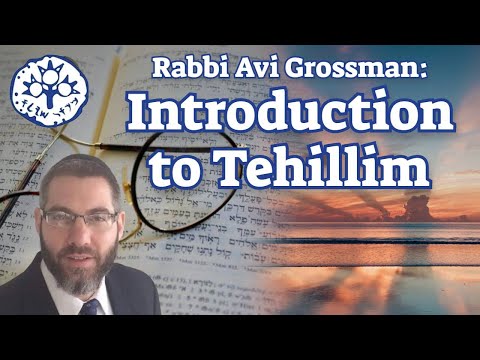 Rabbi Avi Grossman: Introduction to Tehillim