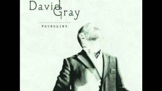 the dotted line- david gray