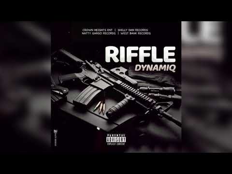 DynamiQ - Riffle | Official Audio