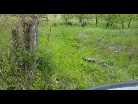 Mistreți pe strada Adevărului