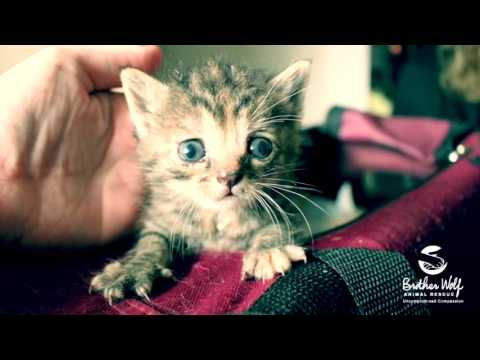 It's our 10 Year Anniversary!