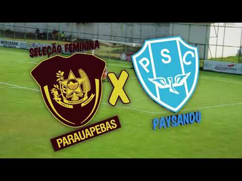 Partida de futebol, Seleção de Parauapebas X Paysandu