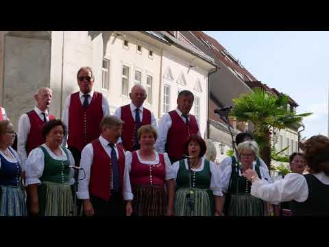 Junga Tåg - Gemischter Chor Liebenfels (Live Aufnahme vom 15. Juli 2020 in St. Veit a.d. Glan)