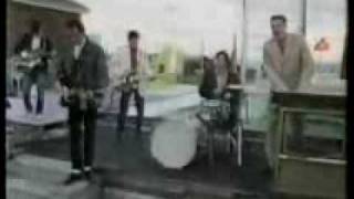 Too Many Times. Mental as Anything.