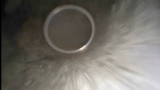 156 管内映像　バリュースコープPro　Φ100mm　塩ビ管