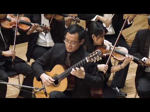 Vivaldi | LARGO: Guitar Concerto in D Major RV 93