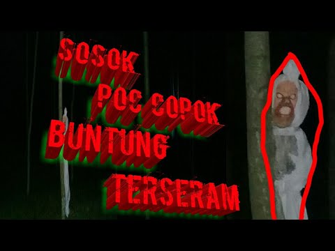 download lagu mp3 mp4 Copok, download lagu Copok gratis, unduh video klip Copok