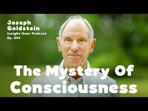 Joseph Goldstein On The Mystery of Consciousness | Insight Hour Ep. 254