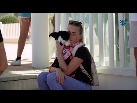 Más de 2000 personas en la I Feria de Adopción Animal de La Nucía