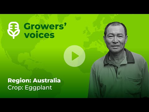 Rovensa Next Growers' voices: Quickon, Delfan Plus, Turbo Root | Australia (2/3)