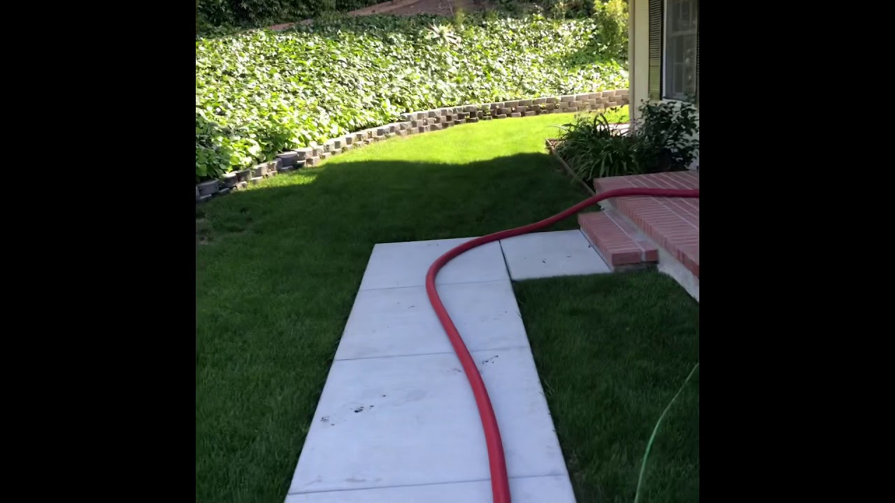 Cleaning clean carpets?