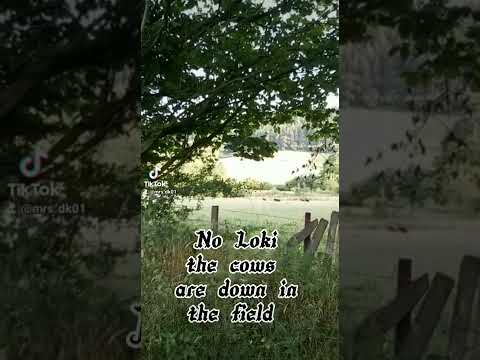 The World of Loki - Loki sees some cows